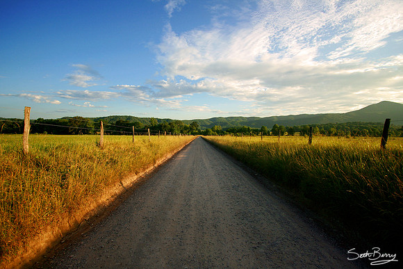 The Road - Hyatt Lane