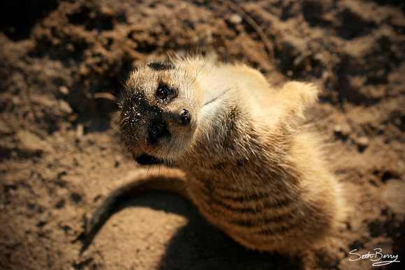 What You Lookin' At?