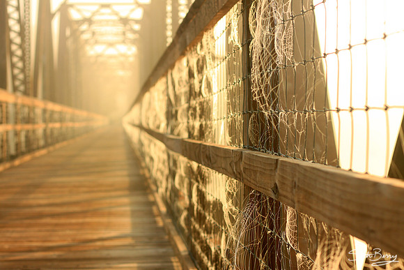 Cob Webs Blowing