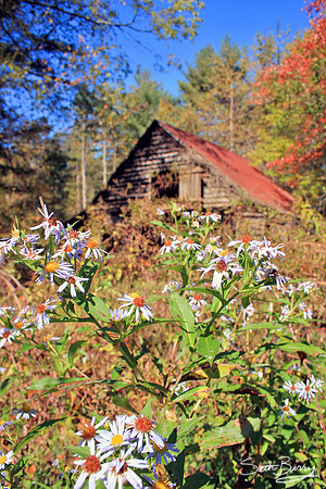 Weathered Barn