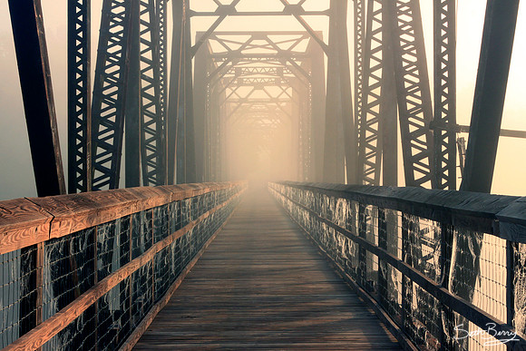 Into The Midst