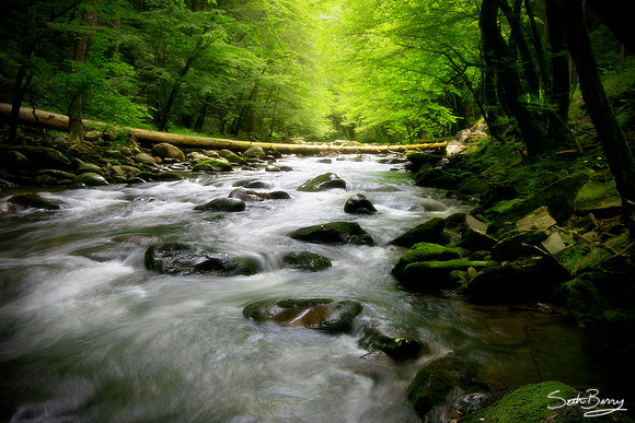 Beautiful Smoky Mountain River