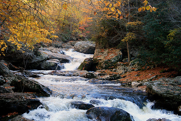 Rush of Autumn