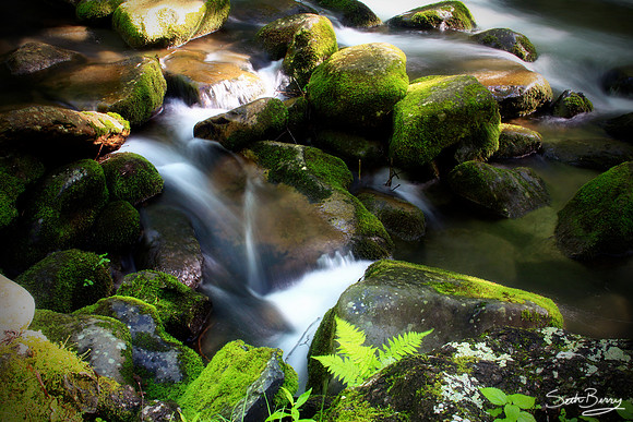 Smoky Mountain Stream