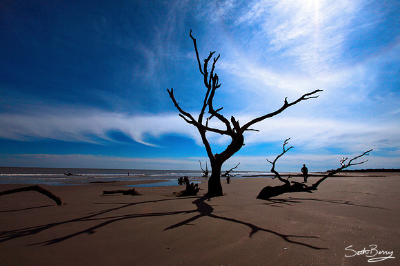 Boneyard Beach