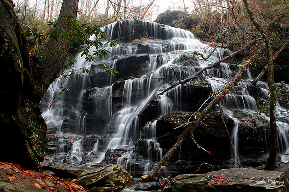 Yellow Branch Falls