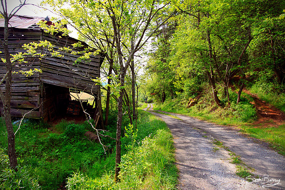 Boone Holler