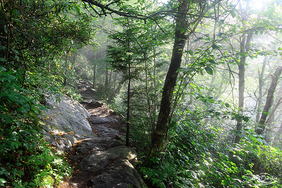 Grandfather Mountain Trails