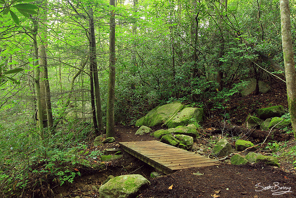 Jones Gap State Park