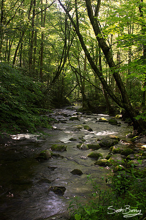 River Bend