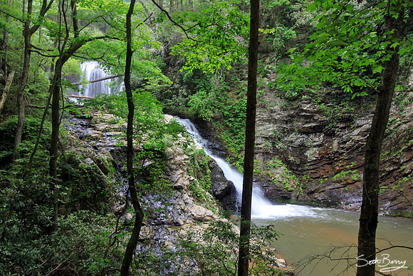 Brasstown Falls