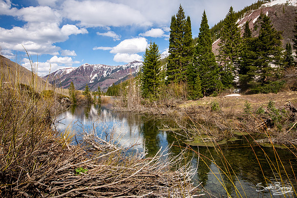 Maroon Bells Scenic Area
