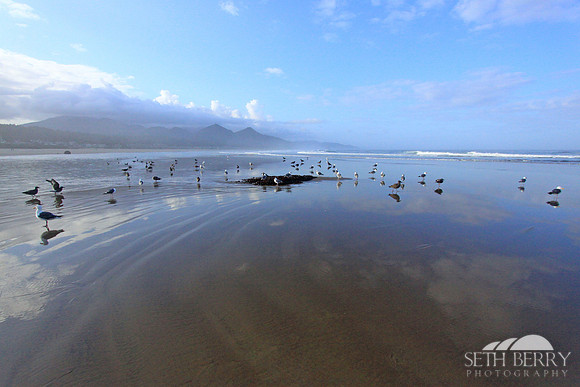 Cannon Beach 6
