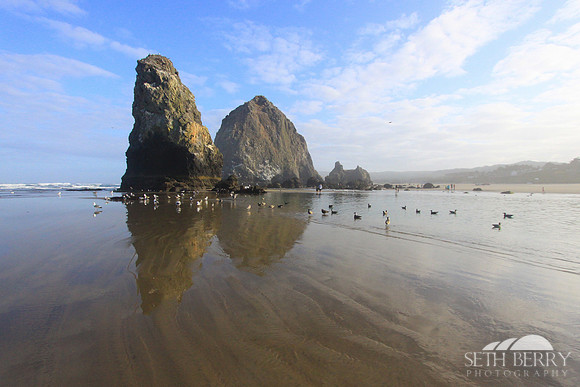 Cannon Beach 7