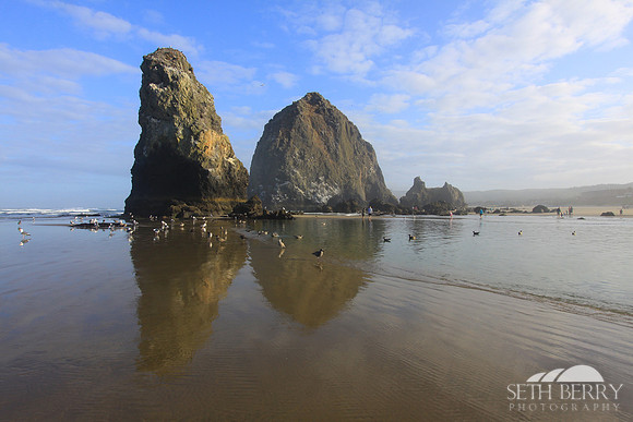 Cannon Beach 8