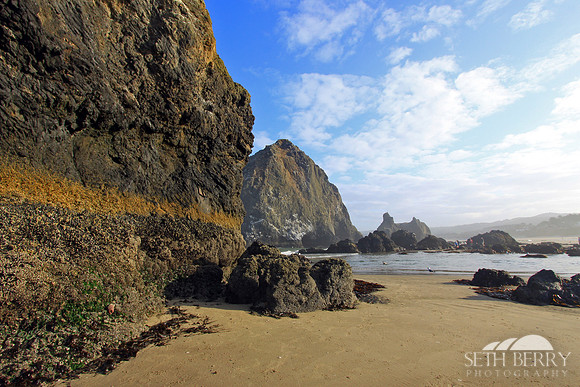 Haystack Rock 14