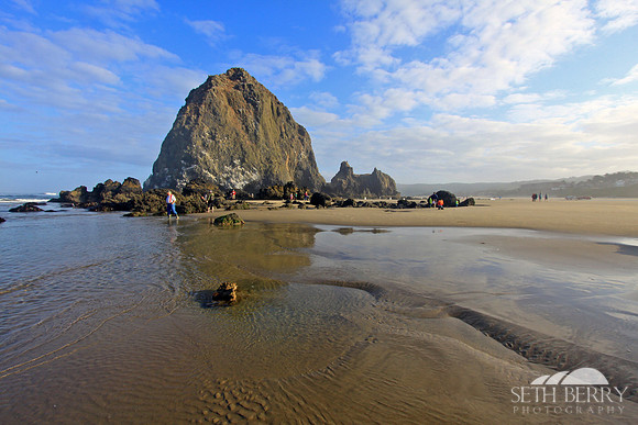Haystack Rock 16