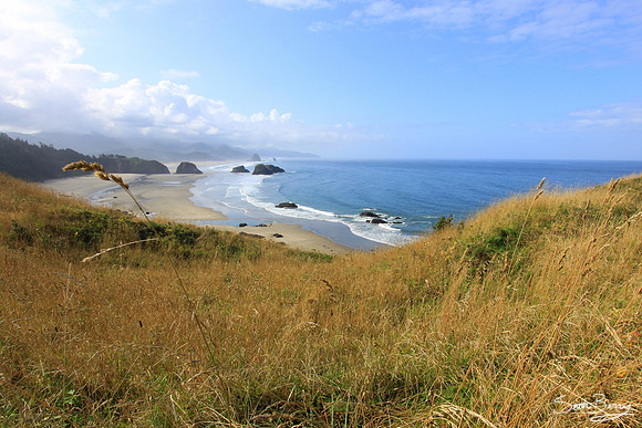 Ecola State Park 1