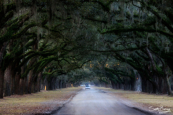Wormsloe Plantation