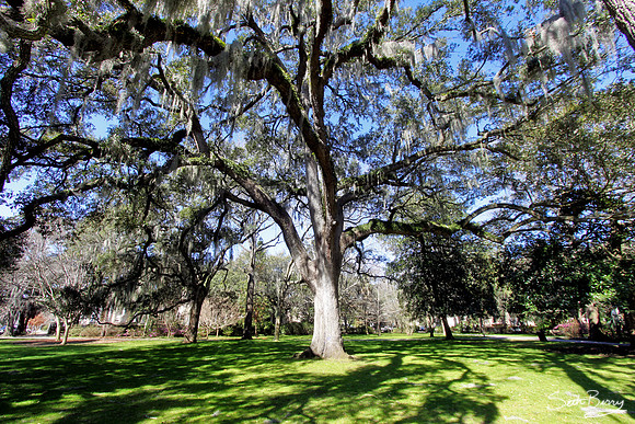 Savannah, Georgia