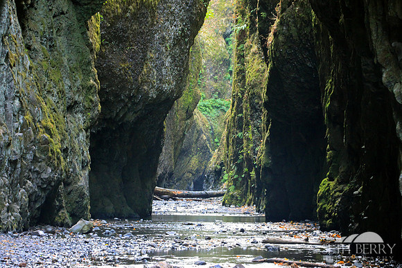 Oneonta Gorge
