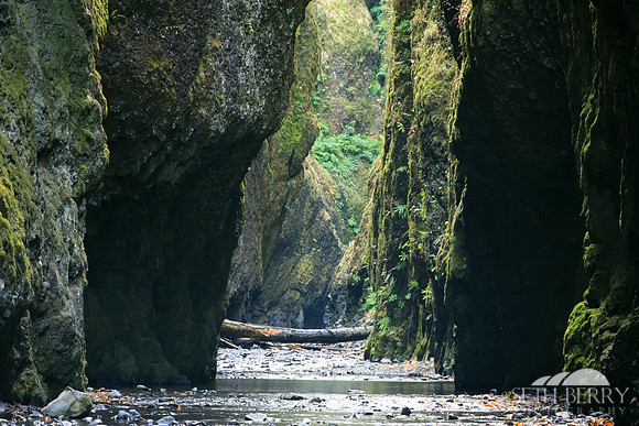 Oneonta Gorge