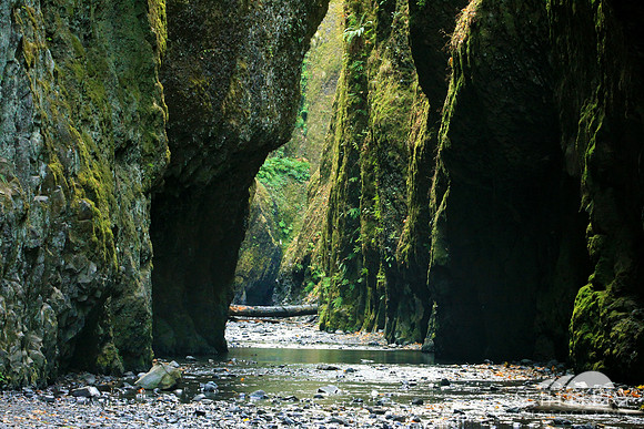 Oneonta Gorge