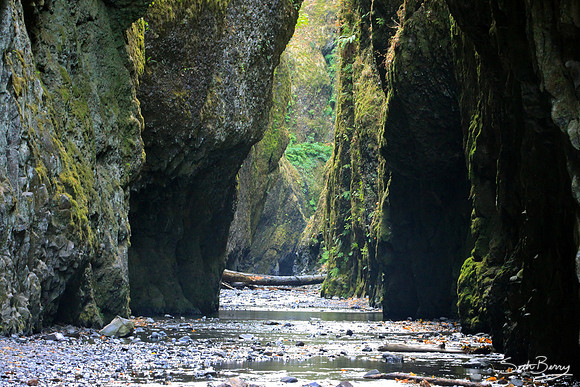 Oneonta Gorge