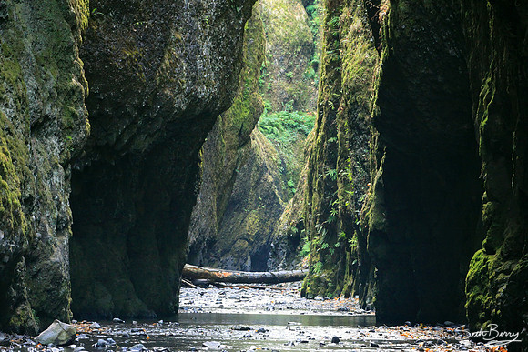 Oneonta Gorge