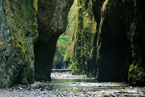 Oneonta Gorge