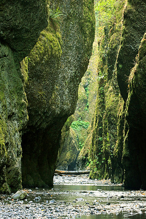 Oneonta Gorge