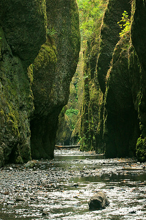 Oneonta Gorge