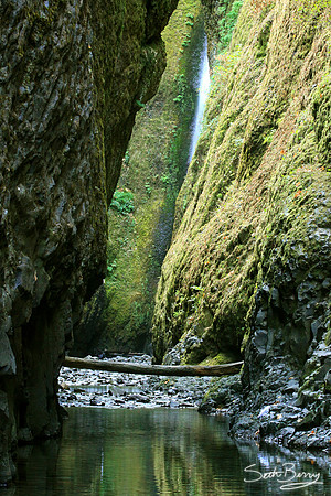 Oneonta Gorge