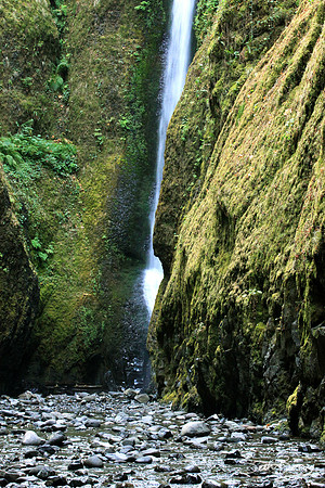 Oneonta Gorge