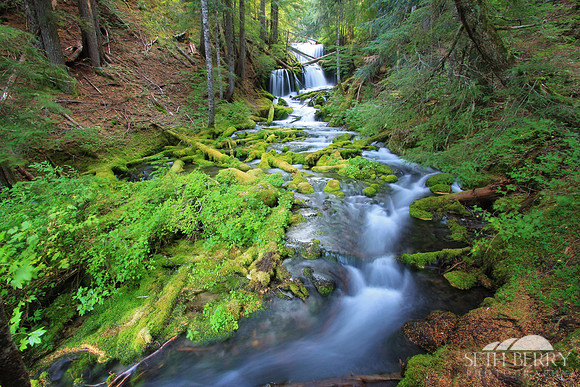 Gifford Pinchot National Forest