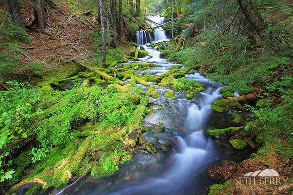 Gifford Pinchot National Forest