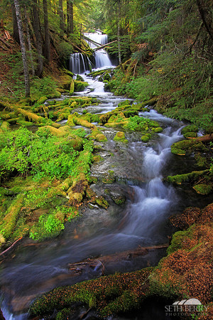 Gifford Pinchot National Forest