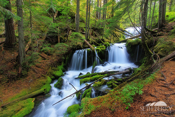 Gifford Pinchot National Forest