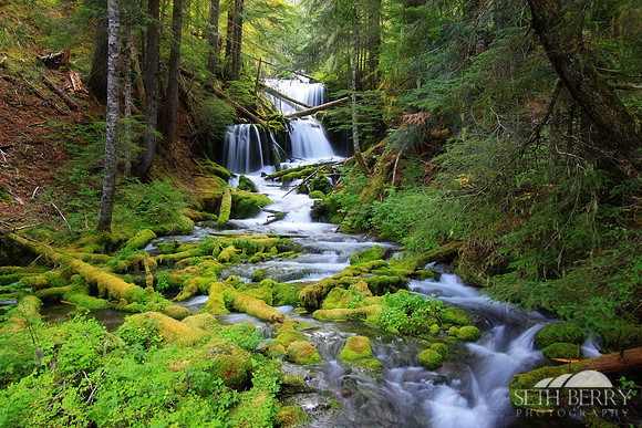 Gifford Pinchot National Forest