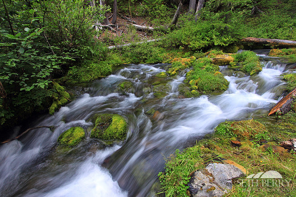 Gifford Pinchot National Forest