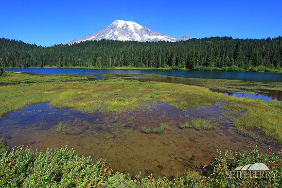 Reflection Lakes, Mt. Rainier