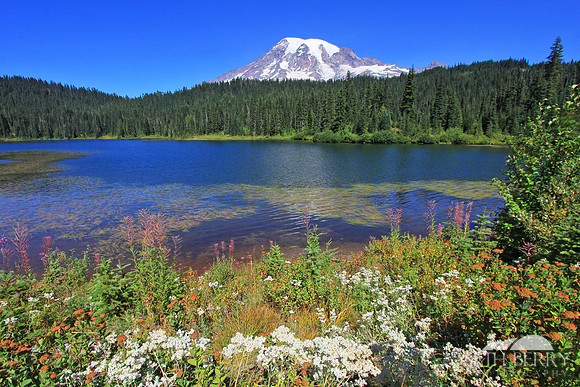 Reflection Lakes, Mt. Rainier