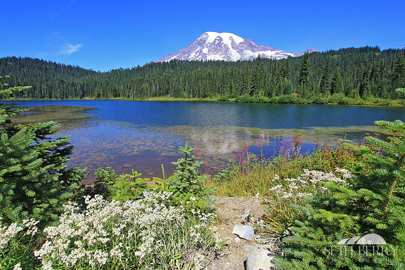 Reflection Lakes, Mt. Rainier