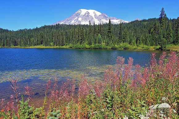 Reflection Lakes, Mt. Rainier
