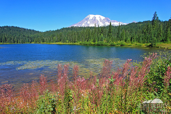 Reflection Lakes, Mt. Rainier