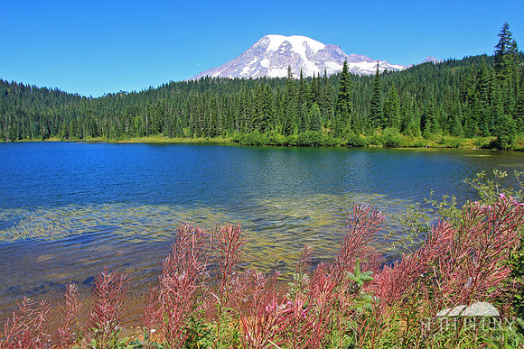 Reflection Lakes, Mt. Rainier