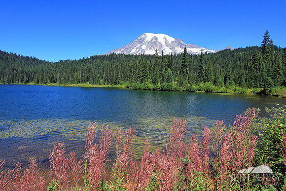 Reflection Lakes, Mt. Rainier