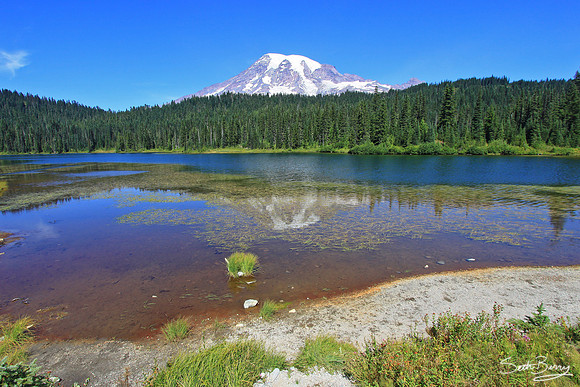Reflection Lakes, Mt. Rainier