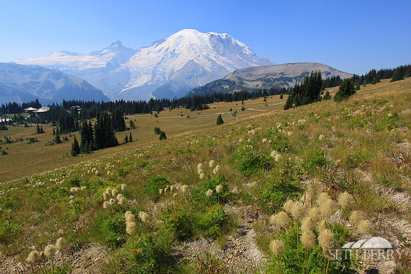 Mt. Rainier National Park
