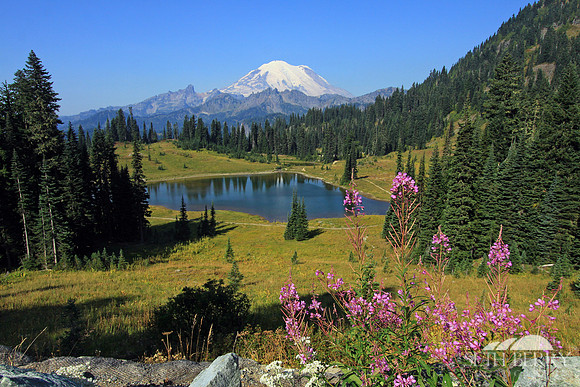 Tipsoo Lake, Mt. Rainier